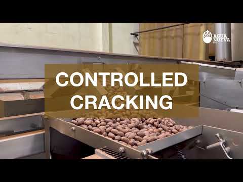 Production Process in the Pecan Shelling Plant