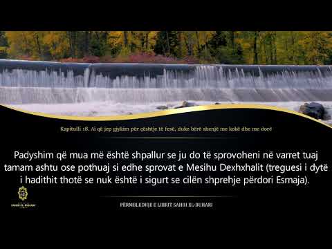 Sahih Buhari - Hadith 75 - Ai që jep gjykim për çështje të fesë duke bërë shenjë me kokë dhe me dorë