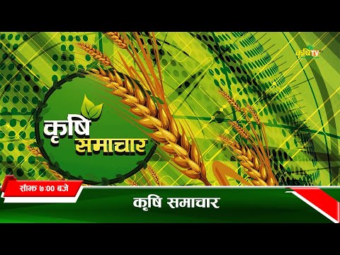 7 pm krishi news  || कृषि समाचार २०७८ भाद्र 31 गते