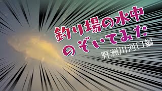 釣り場の水中のぞいてみた：野洲川河口編