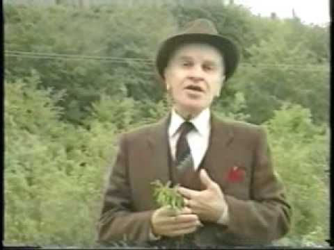 ALEKSANDAR SARIEVSKI - Zajdi Zajdi Jasno Sonce