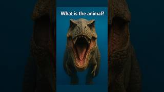 What are the names of the animals?