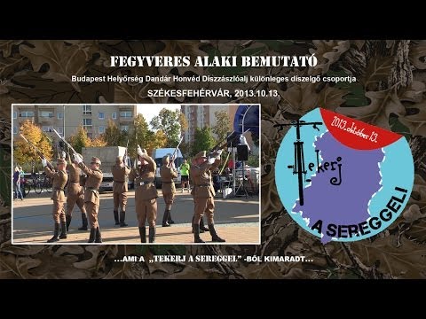 Fegyveres alaki bemutató (2013.10.13.)