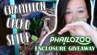 Chameleon Gecko Planted Setup // Phailozoo Enclosure Giveaway!