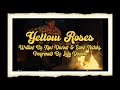 Yellow Roses - performed by Lefty Daytona - C6 Lap Steel