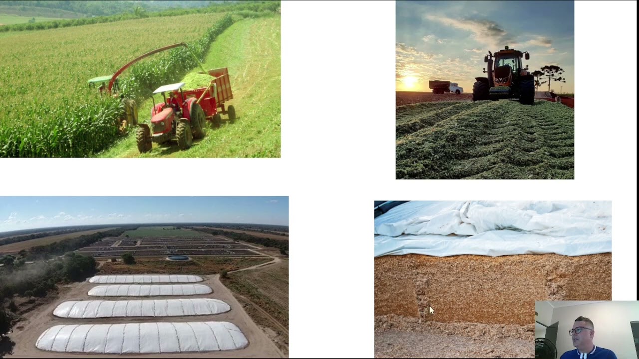 Aula 1.2 Principios de ecologia microbiana