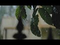 Kisi Roz Barish Jo Aaye Song Status Rain Status Whatsapp Status Beautiful Raining Barish Sta