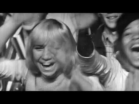 Jan And Dean & The Beach Boys - The T A M I  Show 1964