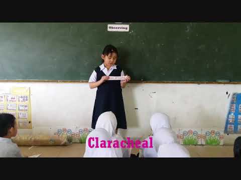 SCIENCE YEAR 1 KSSR  (DLP) TOPIC : Science Process Skills (Observing)