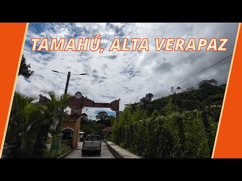 TAMAHÚ ALTA VERAPAZ GUATEMALA