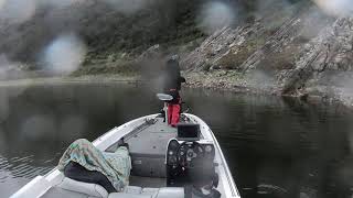 D&M Custom Baits Piranha Swim Jig