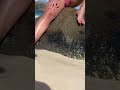 St Martin NUDE BEACH Viralshorts Stmartin Beach Nudebeach Caribbean