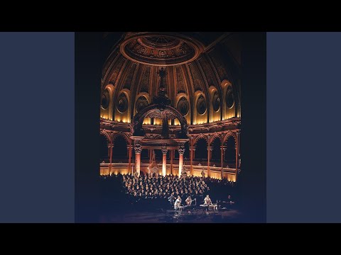 Plastic Flowers (Live)