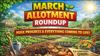 March Allotment Roundup 🌱 Huge Progress & Everything Coming to Life!