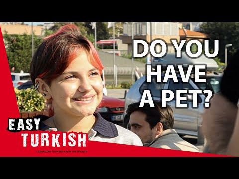 Do Turks Have a Pet? | Easy Turkish 95