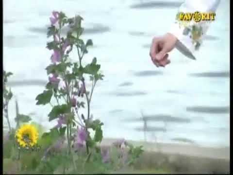 Laurentiu Ciorogaru Iubește- ți aproapele!