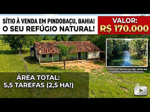 Sítio à venda em Pindobaçu, Bahia, com rio dentro!