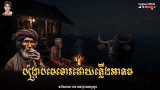 បង្ក្រាបមេចោរដោយភ្លើងអាគម Episode08 | Tenghour Official