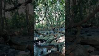 Download lagu සමහර තැන් තියෙනවා මාරම නිදහස් 💆♂🧘♂ #algamaella #nature #waterfall #srilankatravel #trending mp3 Download lagu සමහර තැන් තියෙනවා මාරම නිදහස් 💆♂🧘♂ #algamaella #nature #waterfall #srilankatravel #trending mp3