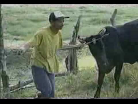 Fernando Villalona - Mi pueblo