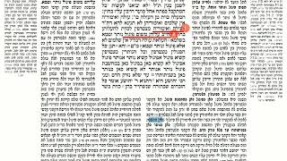 דף יומי מסכת זבחים דף קט Daf yomi Masechet Zevachim page 109  ע"י יוני גוטמן (שיעורי הדף היומי ב-20 דקות – מועבר ע"י ר' יוני גוטמן – לעילוי נשמת אביו ר' אלימלך צבי (צביקה) גוטמן ז"ל) - התמונה מוצגת ישירות מתוך אתר האינטרנט יוטיוב. זכויות היוצרים בתמונה שייכות ליוצרה. קישור קרדיט למקור התוכן נמצא בתוך דף הסרטון