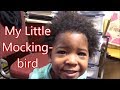 My Little Mockingbird | May 13 Mother's Day | ❤LifeWithLisa343💋 | Daily Vlogs My Little Mockingbird | May 13 Mother's Day | ❤LifeWithLisa343💋 | Daily Vlogs