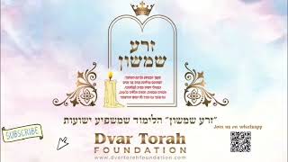 זרא שמשון פרשרט שופטים ברכת שתי מילים מאת הרב גולדווסר