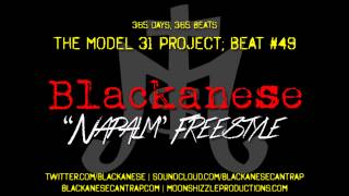 Blackanese - 