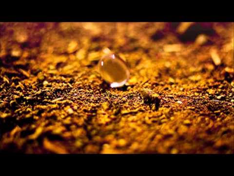 Sementes da Fé | Cassiane