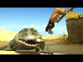 Guard Croc Leon The Lion 60 Compilation Crazy Animals