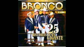 Bronco - Libros Tontos
