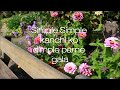 Simple Simple Kanchi Ko Dimple Parne Gala New Latest Nepali Song
