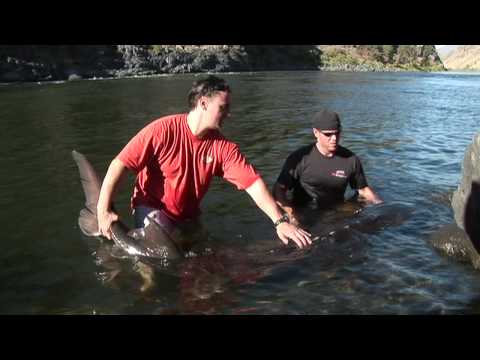 Xcorps Action Sports TV #40.) HELLS CANYON seg.4 HD
