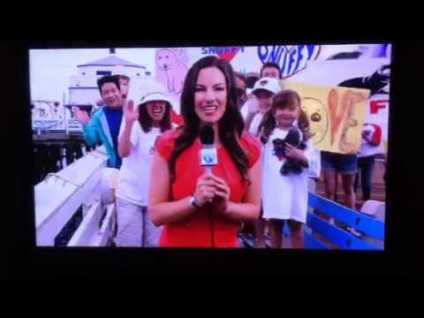 Shark week 2013 snuffy commercial