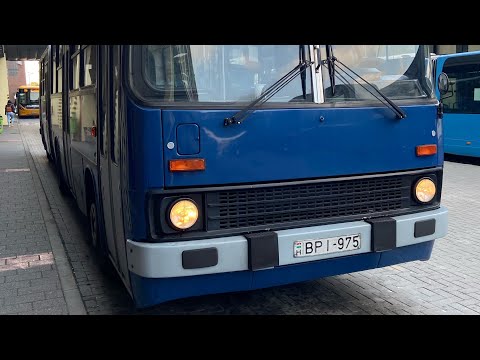 BPI-975 (Ikarus 280.49) a 202E vonalon