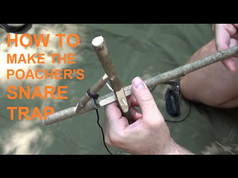 How to make the poacher's snare trap