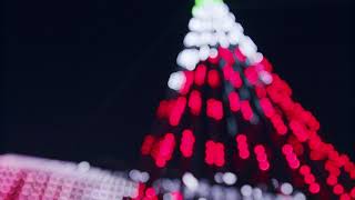 Ping Pong Jingle Bells Theatrical - Evergreen Christmas Lights - Christmas at Evergreen