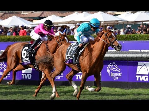 Breeders' Cup Mile (G1)  2019
