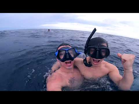 Bagno con le balene e squali mancati per un diluvio universale ✈ Sri Lanka VLOG 3