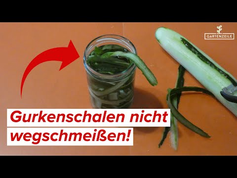 Gurkenschalen als Dünger im Garten [So stellst du dir gratis Dünger aus Gurkenschalen her]