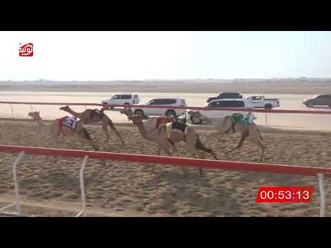  ش 25 (كحال) لـ صبيح عامر بن صبيح الزرعي 2:15:41 ، شارة الصندوق 2026/08/21 فطامين الوثبة
