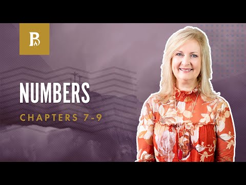 Offerings | Numbers 7-9