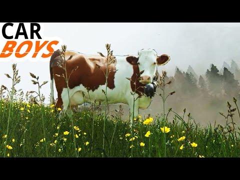 Nick and Griffin Head to Greener Pastures — CAR BOYS, Episode 36