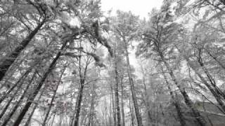 "The Snowman's Music Box Dance" by Howard Blake - Cover