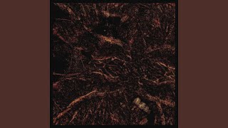 Bleed All I&#39;ve Known