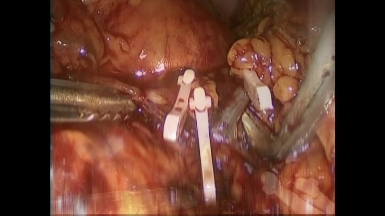 Alfonso José Fernández Carreño-8