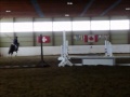 Reitvideo