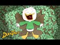 Louie Duck S Best Schemes Compilation DuckTales Disney XD