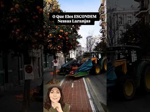 O Que Eles ESCONDEM Nessas Laranjas      Laranja da terra #NaturezaUrbana#Espanha#DicaSemFronteira