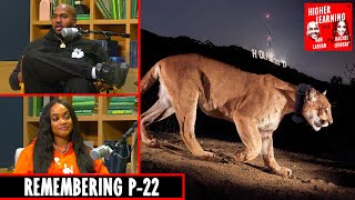 Prosecuting a President, and the Life of P-22 | Higher Learning | The Ringer video